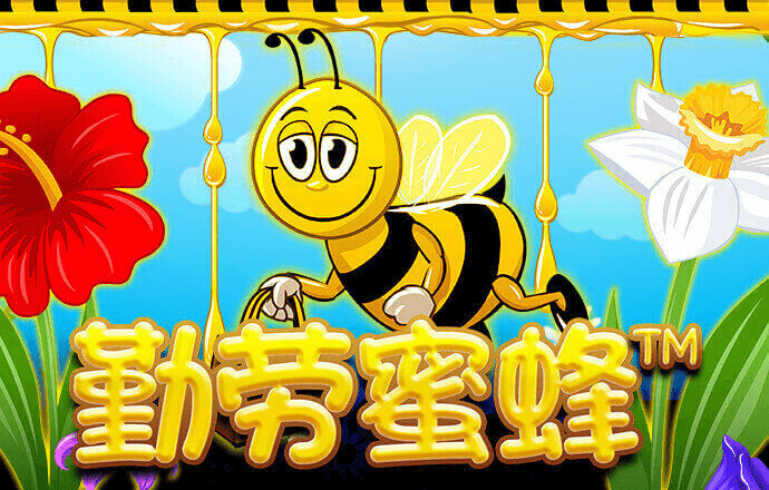 威斯尼斯人615cc棋牌